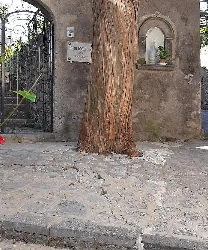 Symphony House 펜션